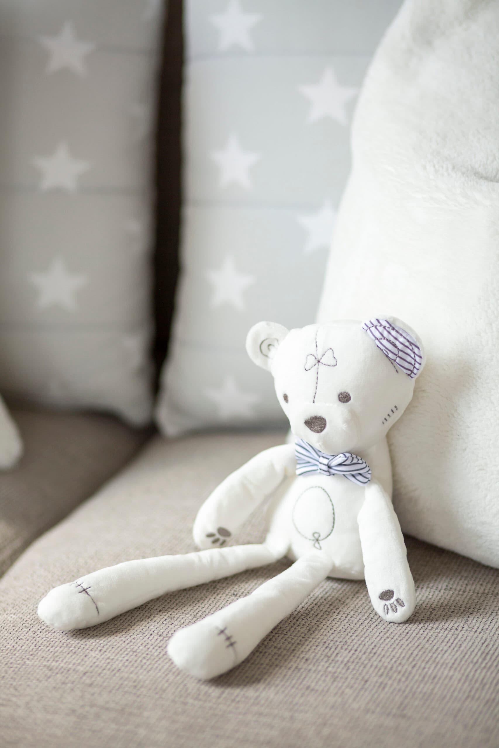 Fiffi The Teddy view 3