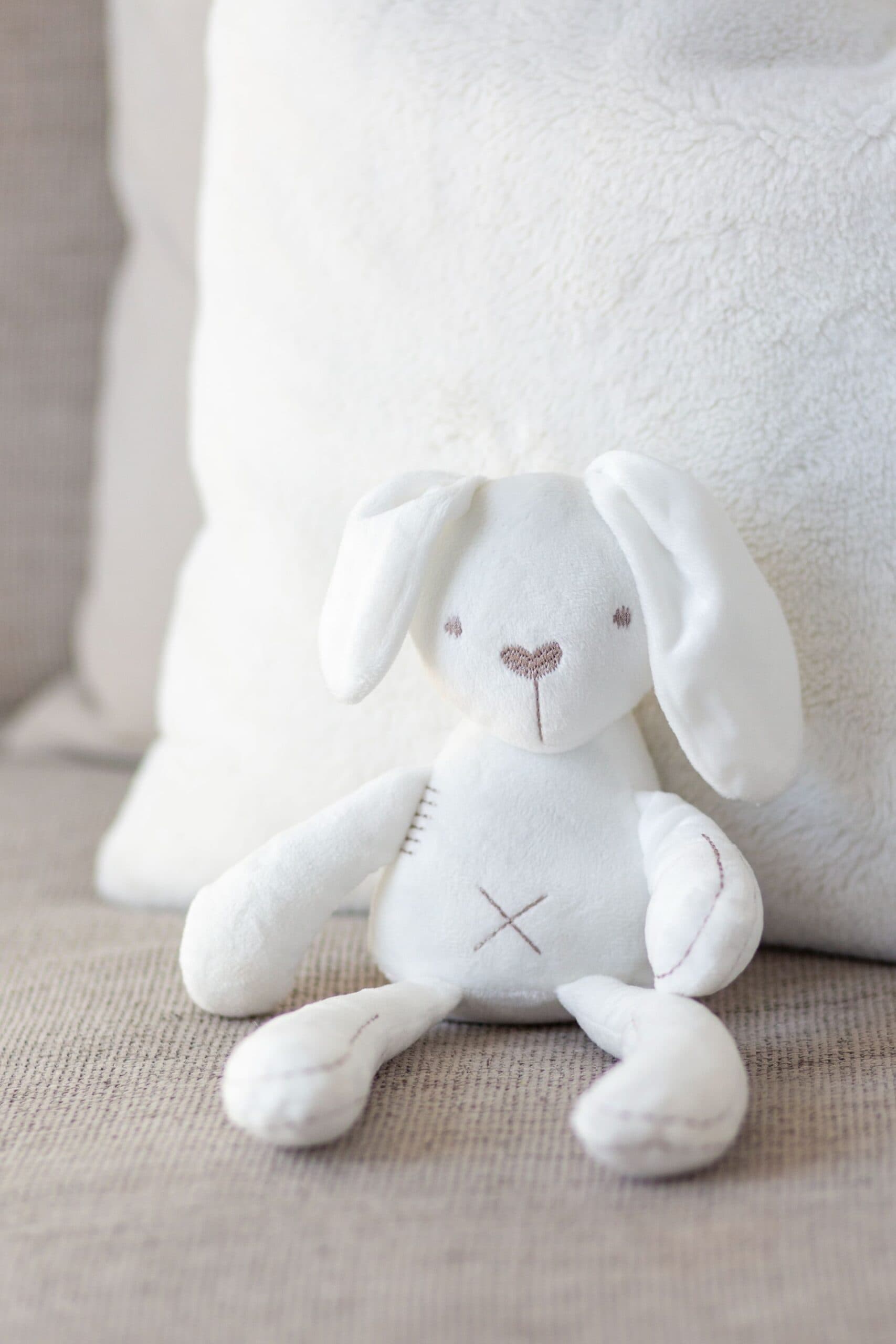 Benny The Bunny view 2