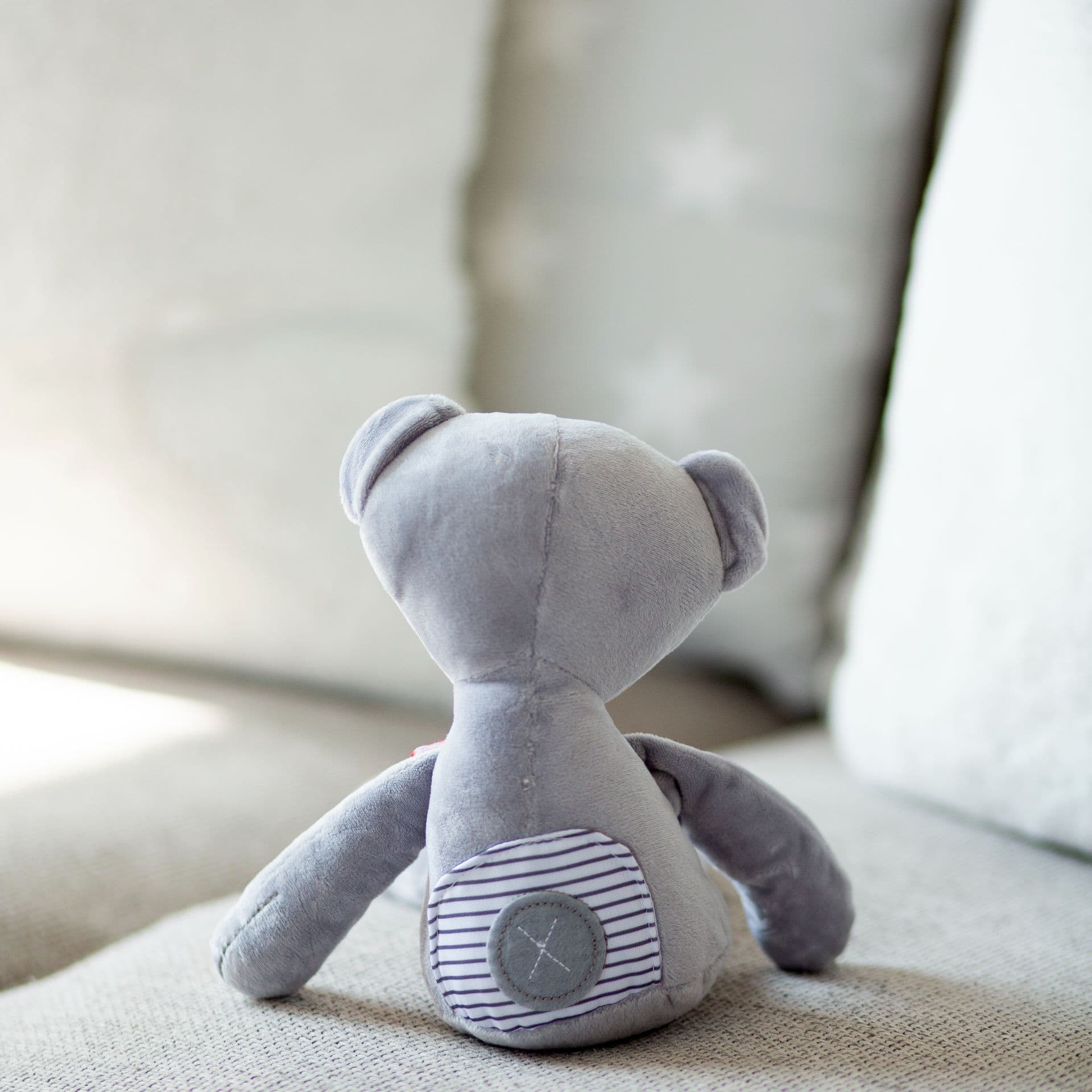 Bobby The Teddy view 2