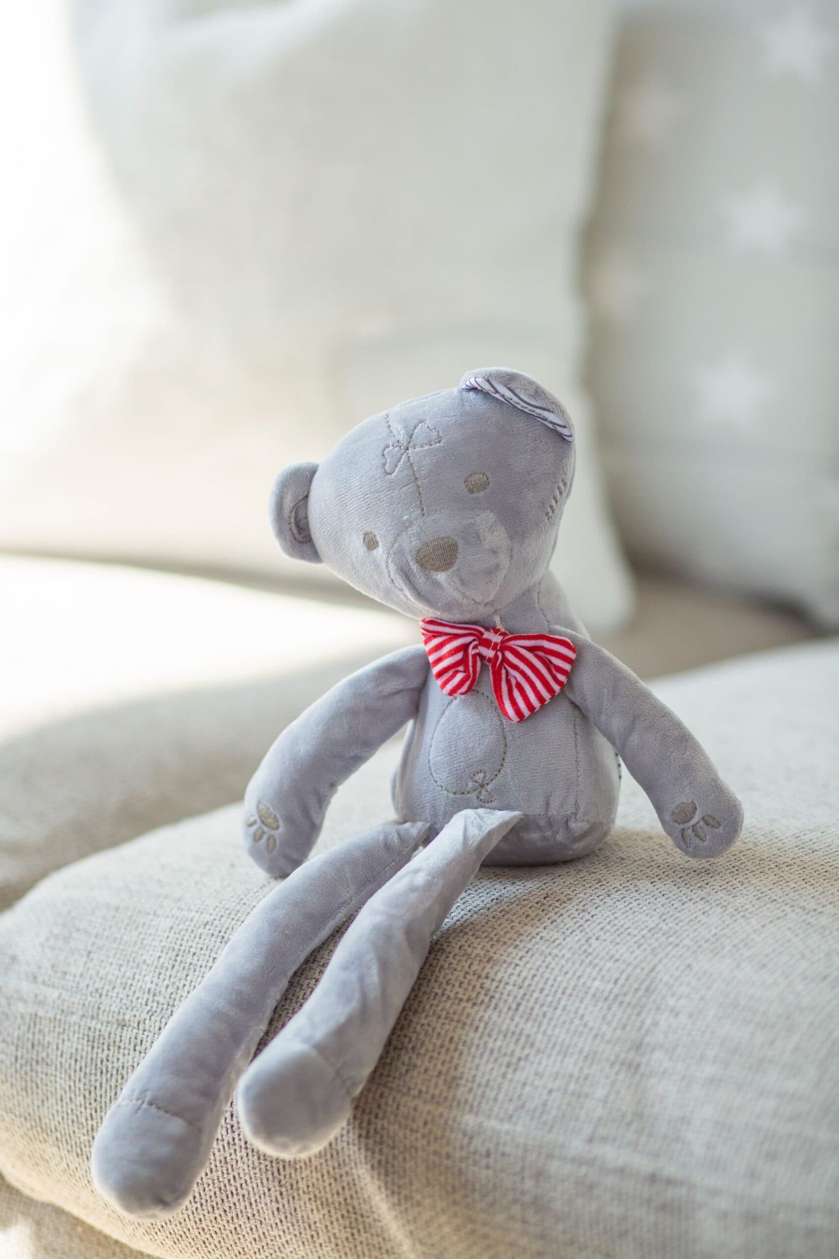 Bobby The Teddy view 3