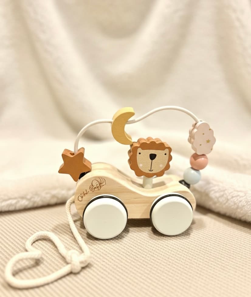 Pull Along Roar & Roll