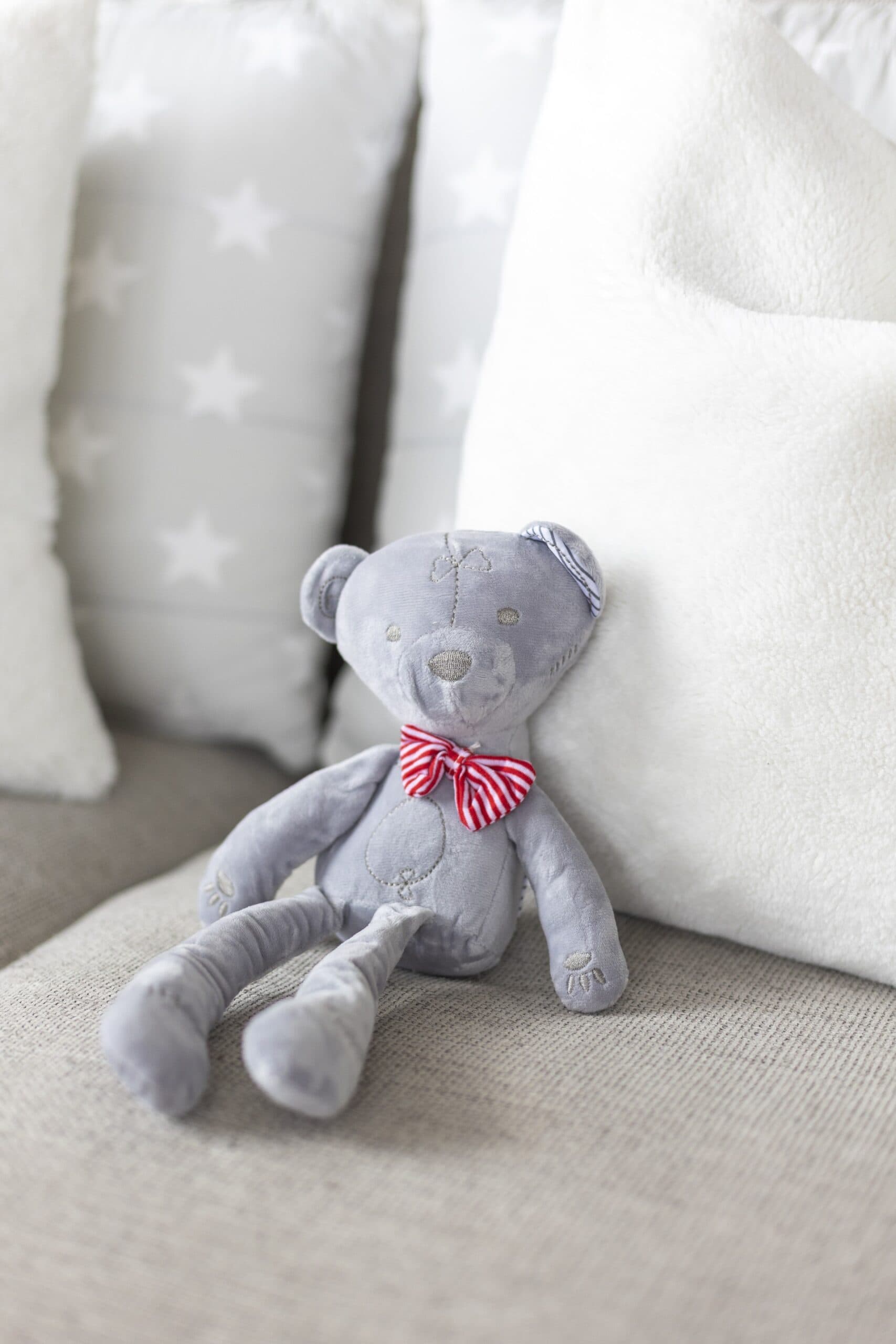 Bobby The Teddy