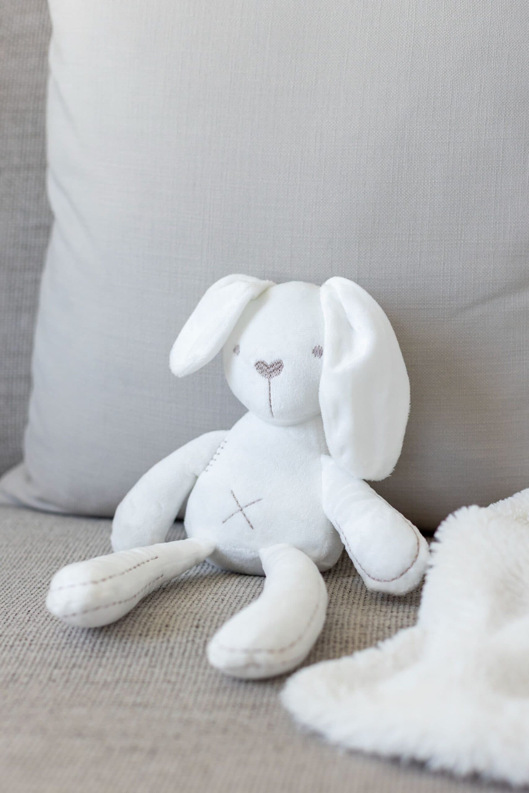 Benny The Bunny