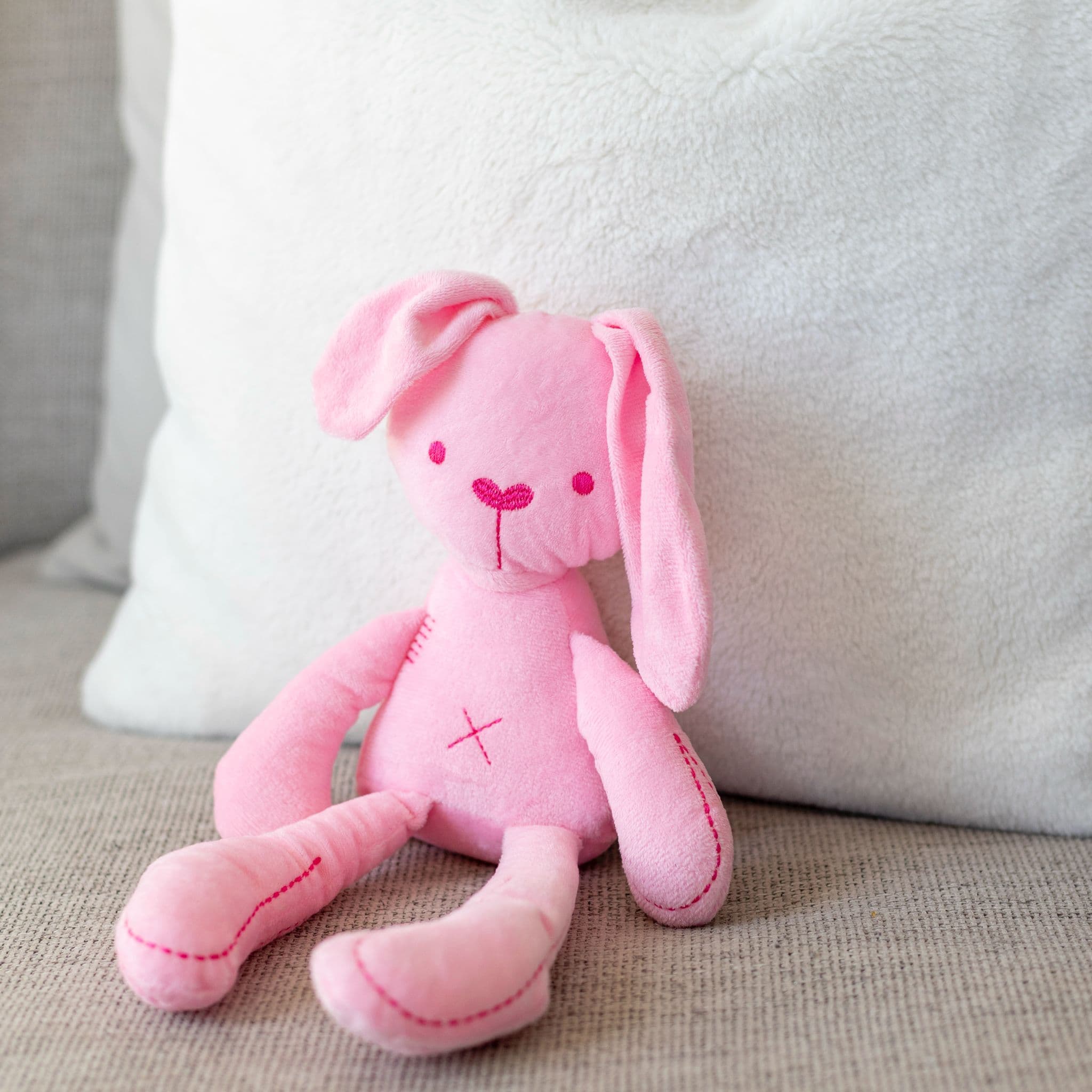 Lolly The Bunny