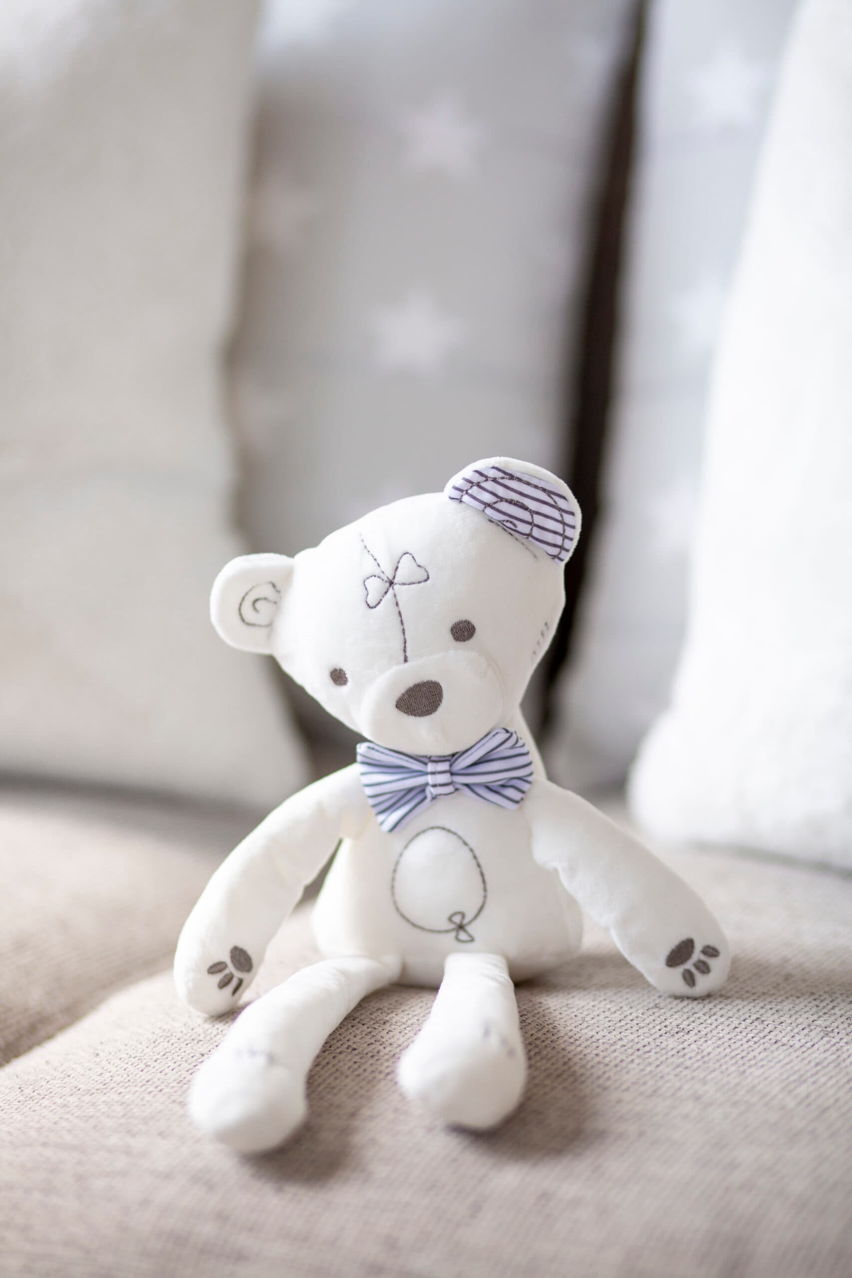 Fiffi The Teddy